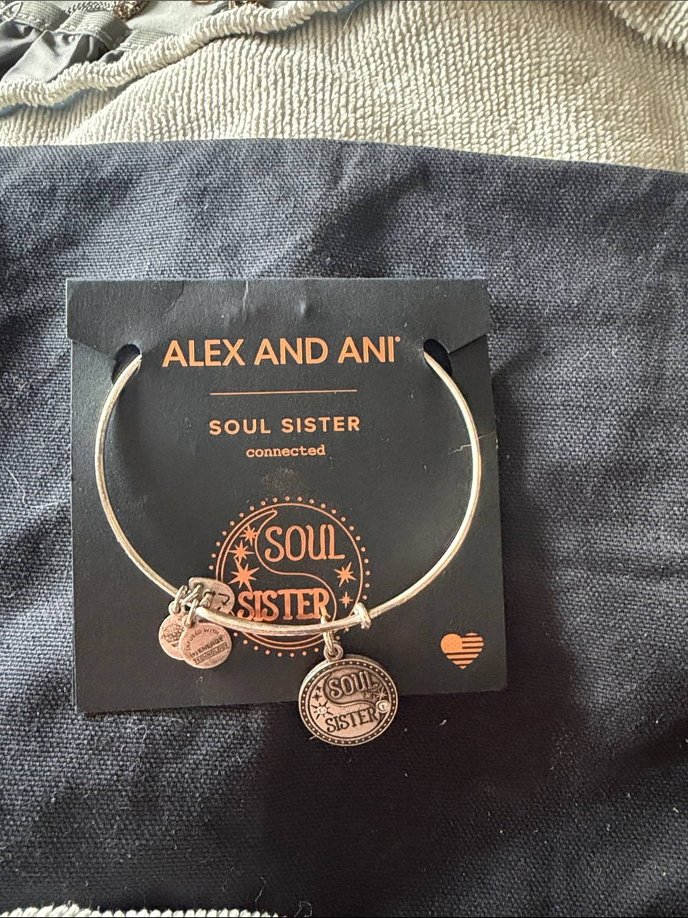 Alex and Ani Silver Soul Sister Charm Bangle
